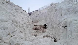 Y&uuml;ksekova'da &ccedil;ığ meyve bah&ccedil;elerini yuttu: K&ouml;y yolu kar t&uuml;nelleriyle a&ccedil;ılıyor