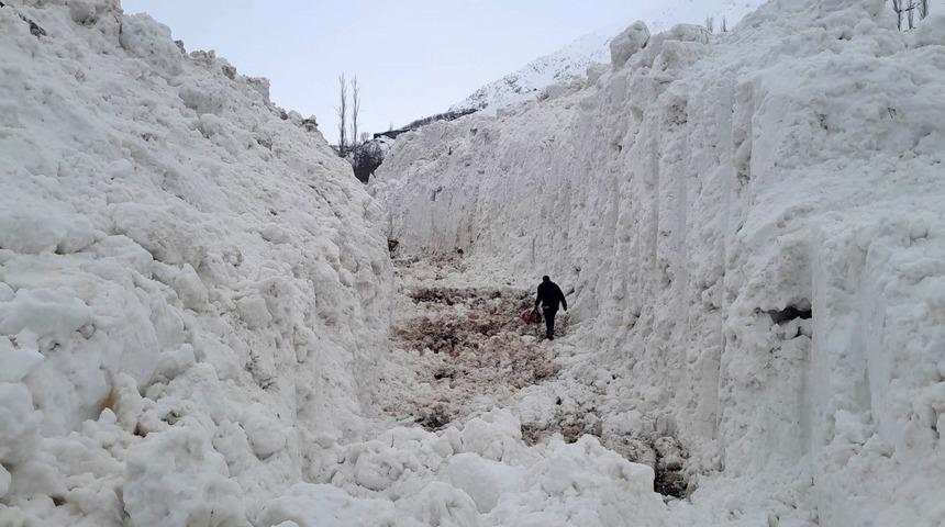 Y&uuml;ksekova'da &ccedil;ığ meyve bah&ccedil;elerini yuttu: K&ouml;y yolu kar t&uuml;nelleriyle a&ccedil;ılıyor