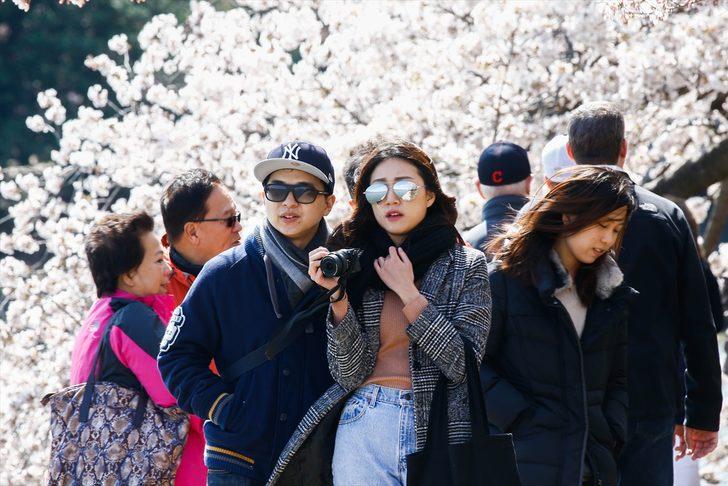  Bu görüntüye kayıtsız kalamadılar! Herkes oraya akın ediyor G1