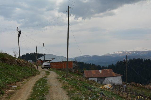 Fırtına yaylada elektrik hatlarına büyük zarar verdi