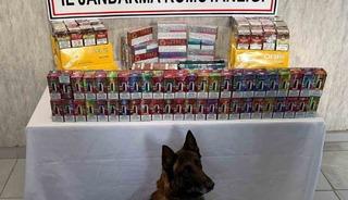 Niğde&rsquo;de ka&ccedil;ak&ccedil;ılık operasyonu! &Ccedil;ok sayıda ka&ccedil;ak &uuml;r&uuml;n ele ge&ccedil;irildi