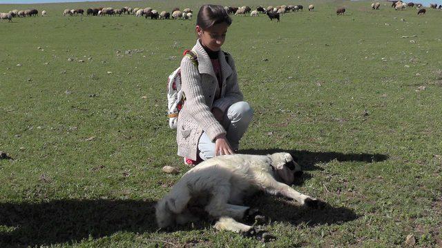 Rabia, proje ödülü ile annesine çamaşır makinesi alacak