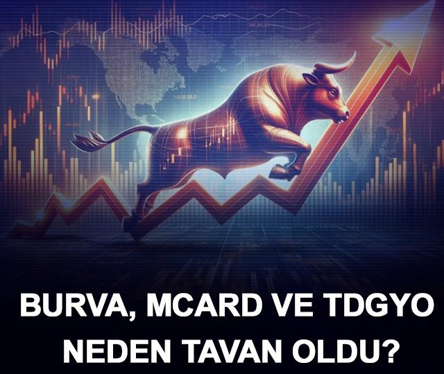 BURVA, MCARD ve TDGYO neden tavan oldu?