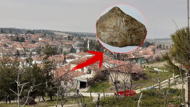 Yürüyüş yaparken buldu: Milyonlarca yıllık! Geçmişten önemli ipuçları taşıyor