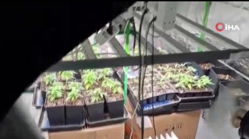 Evleri uyuşturucu serasına, tuvaletleri laboratuvara &ccedil;evirmişler: 36 g&ouml;zaltı