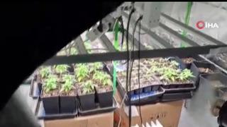 Evleri uyuşturucu serasına, tuvaletleri laboratuvara çevirmişler: 36 gözaltı