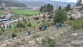Bartın'da h&uuml;k&uuml;ml&uuml;ler fidan dikti