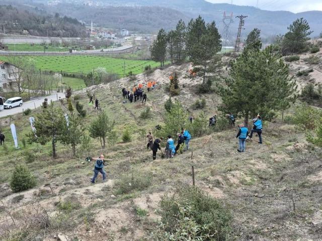 Bartın'da h&uuml;k&uuml;ml&uuml;ler fidan dikti