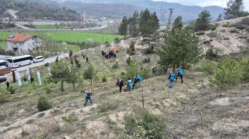Bartın'da h&uuml;k&uuml;ml&uuml;ler fidan dikti