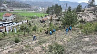 Bartın'da hükümlüler fidan dikti