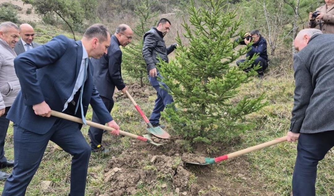 Bartın da hükümlüler fidan dikti 1