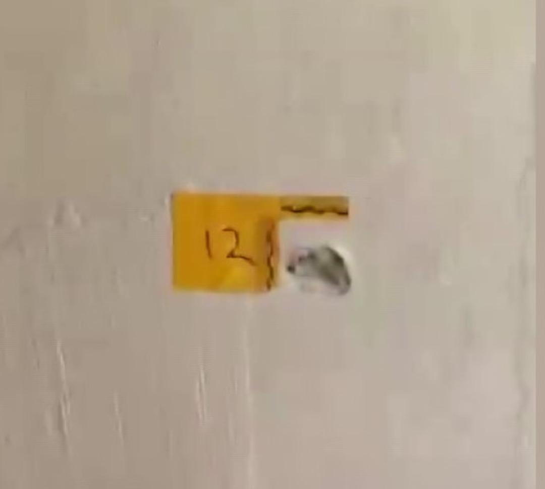 "Polisiz" diyerek eve giren ş&uuml;pheliler anne ile oğlunu vurdu 3