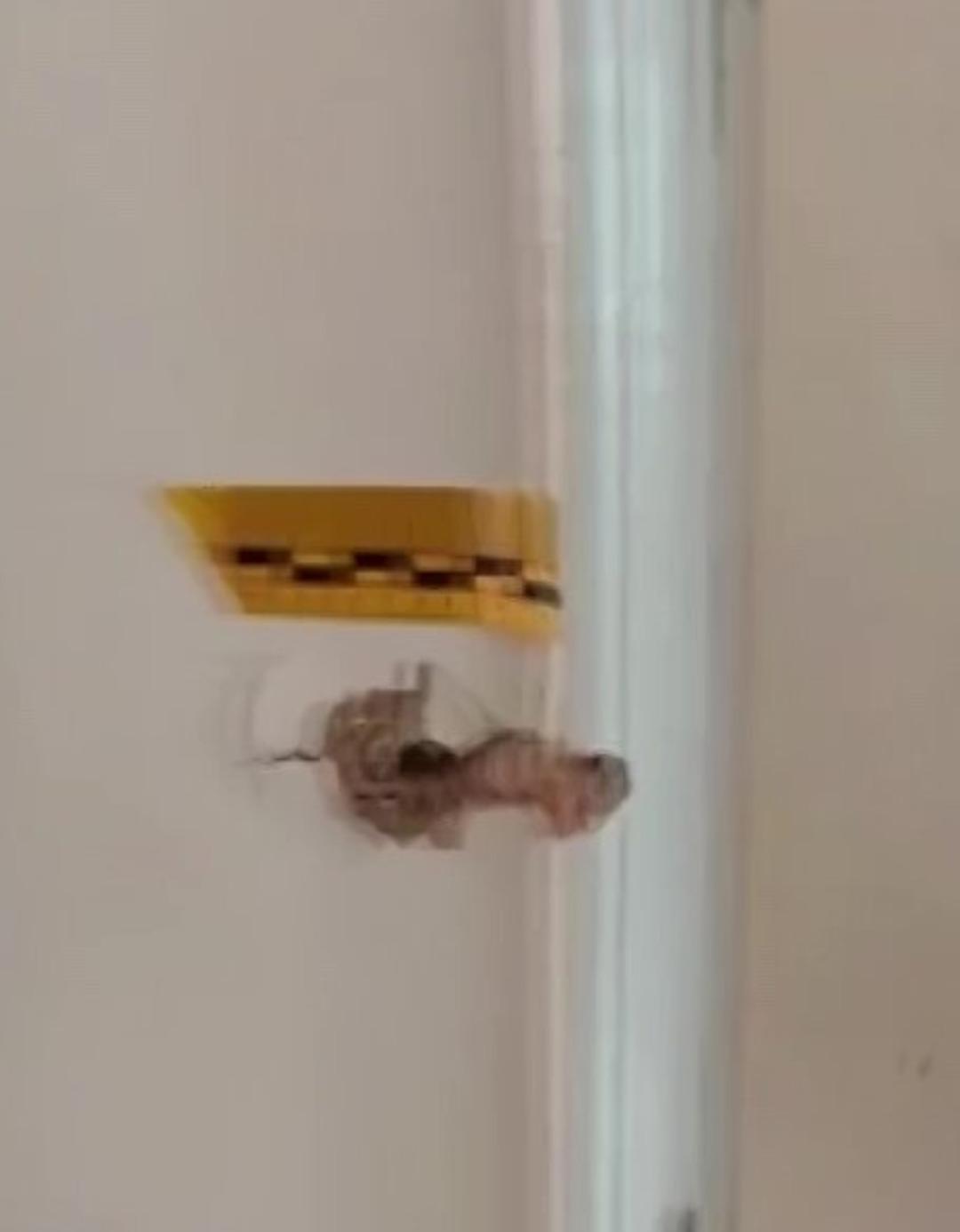 Kendilerini polis olarak tanıtıp eve girdiler: Anne ve oğlunu kurşun yağmuruna tuttular 4