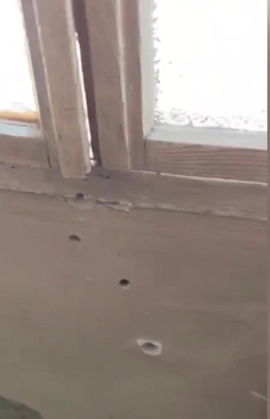 Kendilerini polis olarak tanıtıp eve girdiler: Anne ve oğlunu kurşun yağmuruna tuttular 7