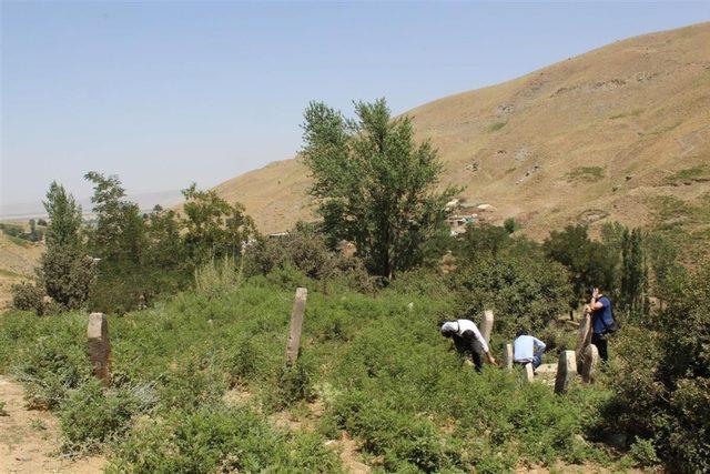 Bitlis’te tarihe ışık tutacak yeni mezar taşları bulundu