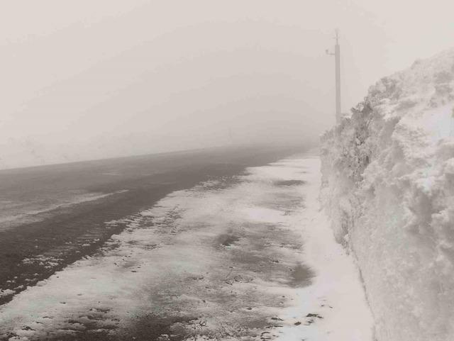 Sahara geçidinde yoğun sis ulaşımı olumsuz etkiliyor 2