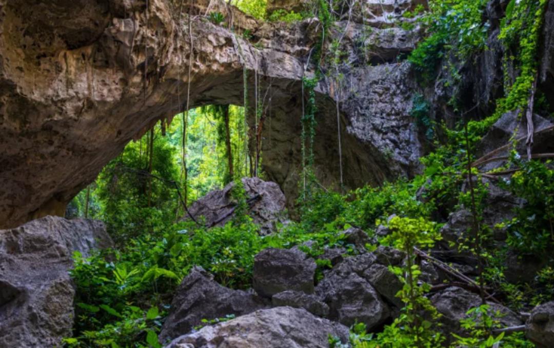 Yer altından s&uuml;rpriz &ccedil;ıktı! Daha &ouml;nce hi&ccedil; g&ouml;r&uuml;lmemiş t&uuml;rler bulundu 2