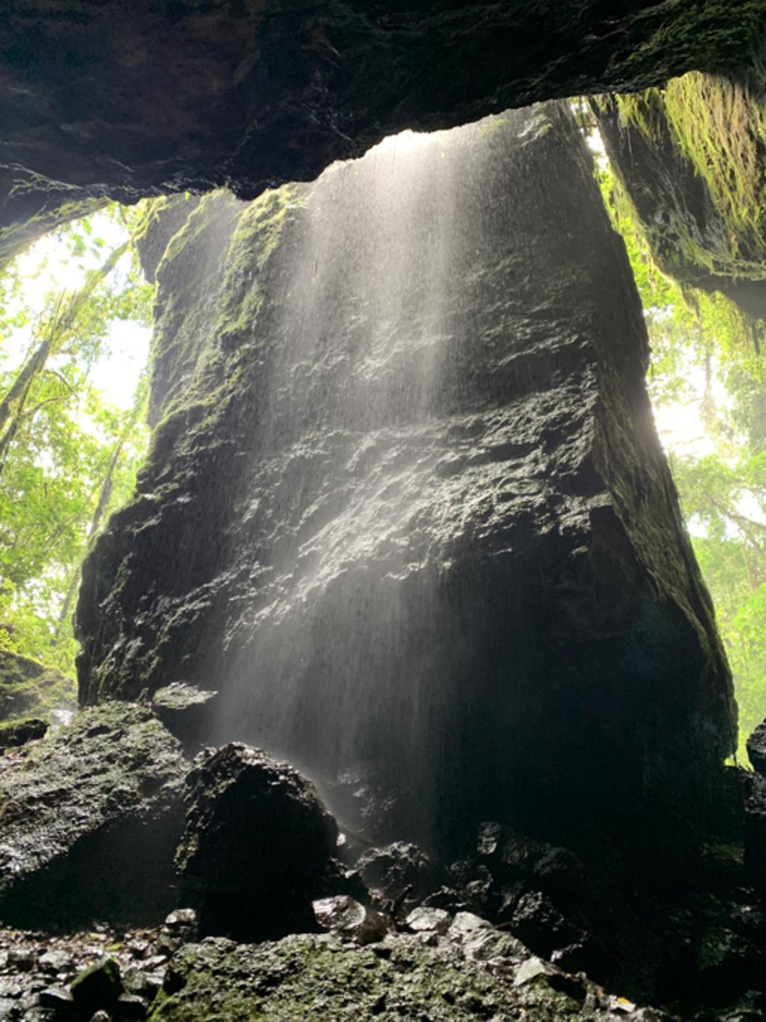 Yer altından s&uuml;rpriz &ccedil;ıktı! Daha &ouml;nce hi&ccedil; g&ouml;r&uuml;lmemiş t&uuml;rler bulundu 3