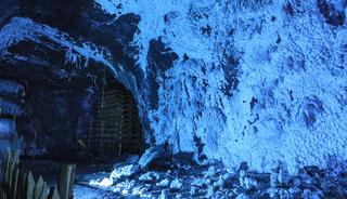 Yer altından s&uuml;rpriz &ccedil;ıktı! Daha &ouml;nce hi&ccedil; g&ouml;r&uuml;lmemiş t&uuml;rler bulundu