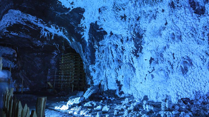 Yer altından s&uuml;rpriz &ccedil;ıktı! Daha &ouml;nce hi&ccedil; g&ouml;r&uuml;lmemiş t&uuml;rler bulundu