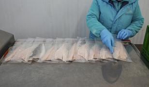 İki aylık y&uuml;ksek artış yeni rekor beklentisi getirdi 'İnanılmaz talep g&ouml;rmeye başladı'