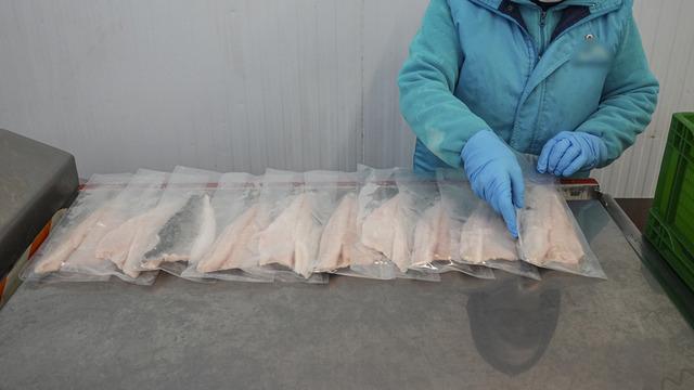 İki aylık yüksek artış yeni rekor beklentisi getirdi 'İnanılmaz talep görmeye başladı'