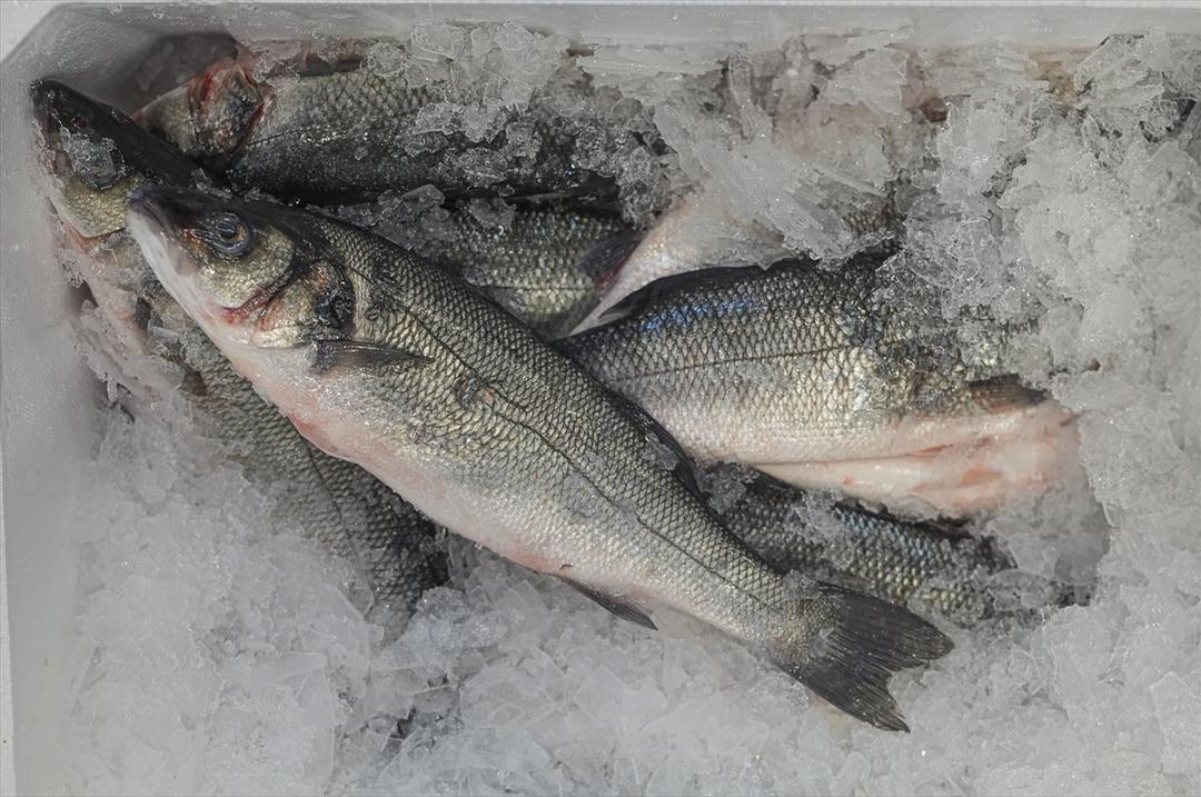 İki aylık y&uuml;ksek artış yeni rekor beklentisi getirdi  İnanılmaz talep g&ouml;rmeye başladı  1