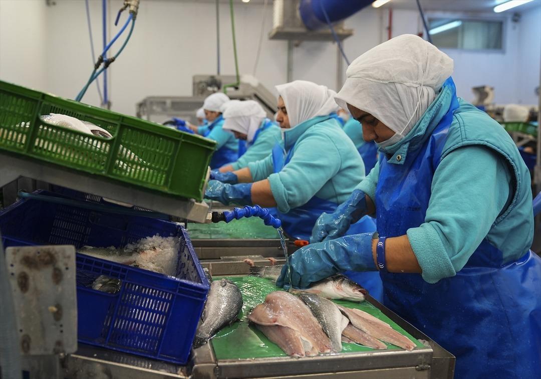 İki aylık y&uuml;ksek artış yeni rekor beklentisi getirdi  İnanılmaz talep g&ouml;rmeye başladı  2