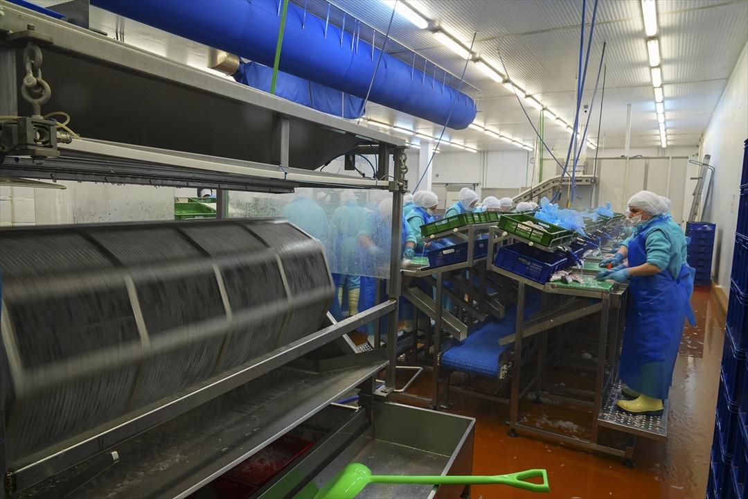 İki aylık y&uuml;ksek artış yeni rekor beklentisi getirdi  İnanılmaz talep g&ouml;rmeye başladı  3