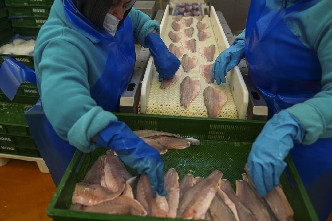 İki aylık y&uuml;ksek artış yeni rekor beklentisi getirdi  İnanılmaz talep g&ouml;rmeye başladı  5