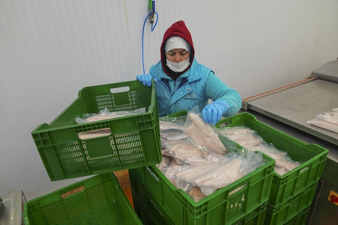 İki aylık y&uuml;ksek artış yeni rekor beklentisi getirdi  İnanılmaz talep g&ouml;rmeye başladı  4