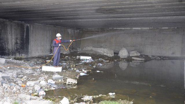 Ağrı’da ilaçlama çalışması başlatıldı