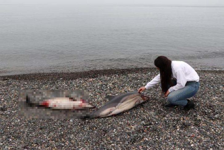  Her gün kanlar içinde birer ikişer sahillere vuruyorlar!  G3