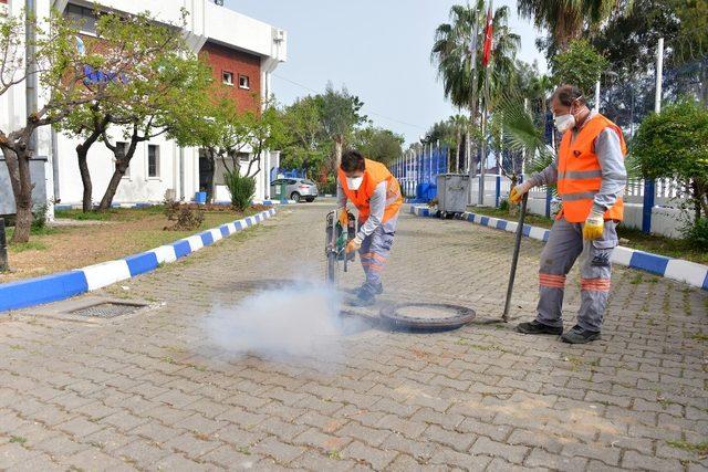 Mersin’de haşere ile mücadele çalışmaları sürüyor