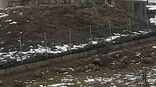 Göç yolculuğundaki leylekler Sakarya’da mola verdi