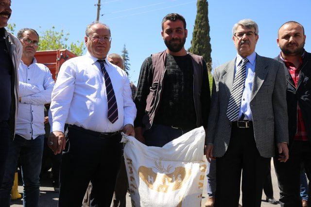 Mardin’de çiftçilere hindi dağıtıldı