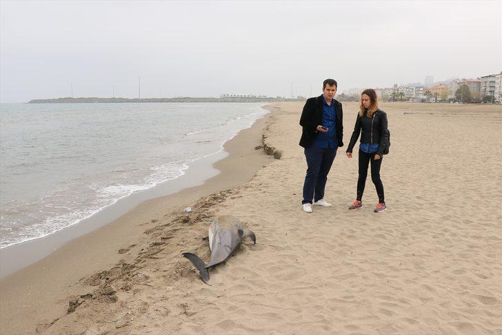  Her gün kanlar içinde birer ikişer sahillere vuruyorlar!  G5