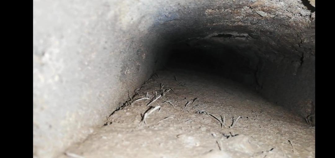 Asırlardır gizliydi! 600 yıllık sır ortaya &ccedil;ıktı: Caminin altında bulundu 9