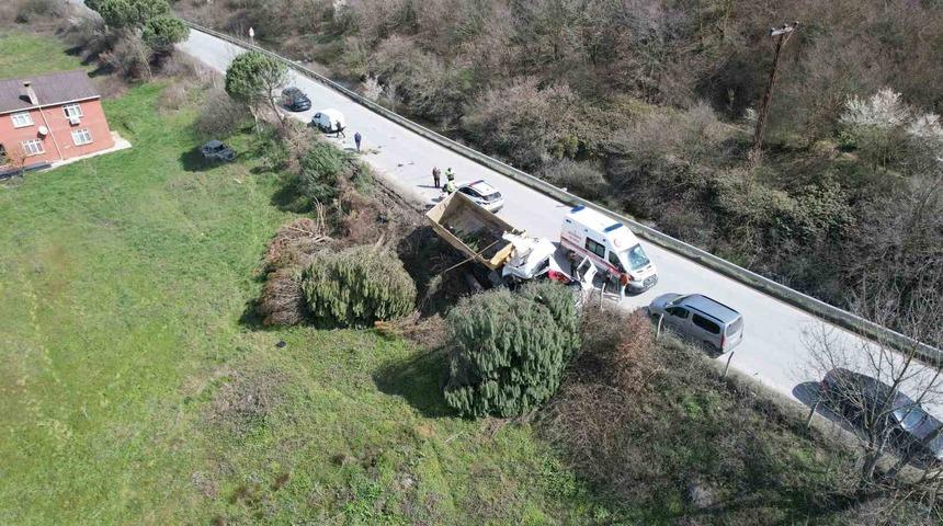 Arnavutk&ouml;y'de hafriyat kamyonu &ccedil;ayırlık alana u&ccedil;tu, ağa&ccedil;lar devrildi!