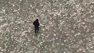 Kars’ta kaçak avcılığa sıkı denetim