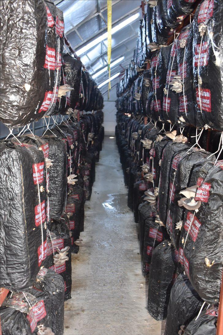 Ev kadınıydı patron oldu, siparişlere yetişemiyor! G2