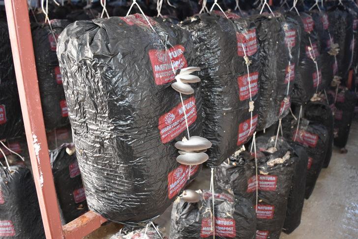 Ev kadınıydı patron oldu, siparişlere yetişemiyor! G3