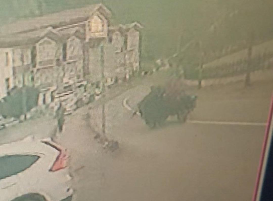 Kastamonu’da lastiği fırlayan tarım aracı takla attı: 1 yaralı 2