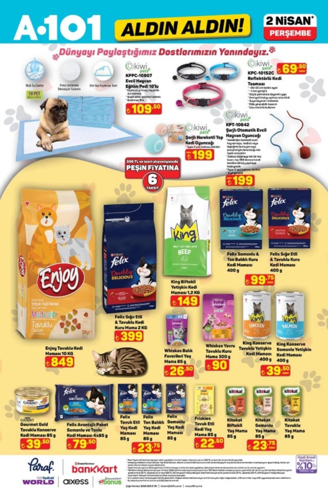 A101 e elektrikli kamyonet geliyor! 2 Nisan 2026 A101 katalog yayınlandı! 14