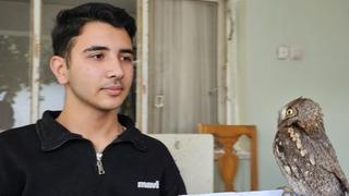 14 yaşındaki Berk, yaralı bulduğu İshak kuşunun yaşama tutunmasını sağladı