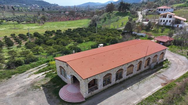 Anadolu'nun zeytinyağı mirası İzmir'deki tadım kütüphanesinde buluştu