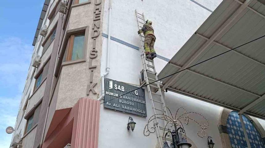 İskenderun&rsquo;da ipe dolanan kuş kurtarıldı