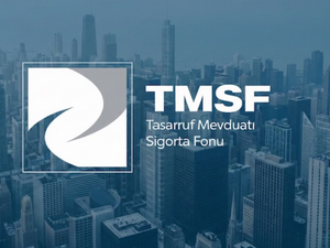 TMSF d&ouml;rt ticari ve iktisadi b&uuml;t&uuml;nl&uuml;ğ&uuml; satışa &ccedil;ıkardı