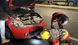 Aracın motoruna giren tilki ekiplerce kurtarıldı