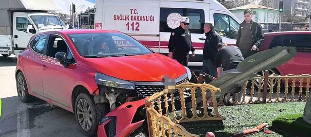 Ara&ccedil; i&ccedil;erisindeki k&ouml;pek &uuml;zerine atlayınca direksiyon hakimiyetini kaybetti 1